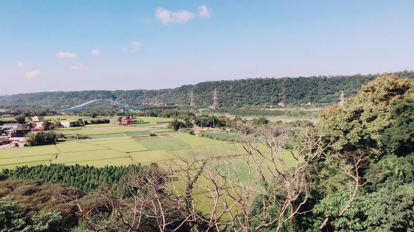 大溪住宿入住資訊