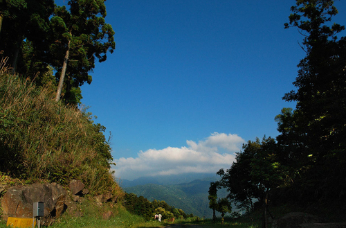 東眼山  |行程推薦|深度旅行